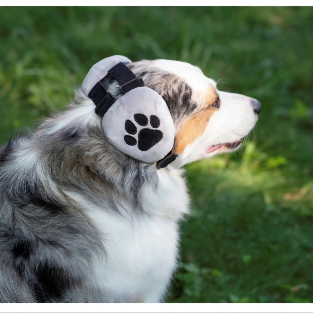 Dog Ear Muffs Noise Protection Cancelling Headphone Aniexty Loud Noise Large NEW - Picture 5 of 10